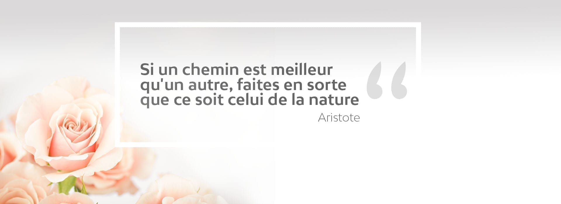 citation Aristote